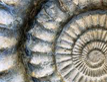 Geology